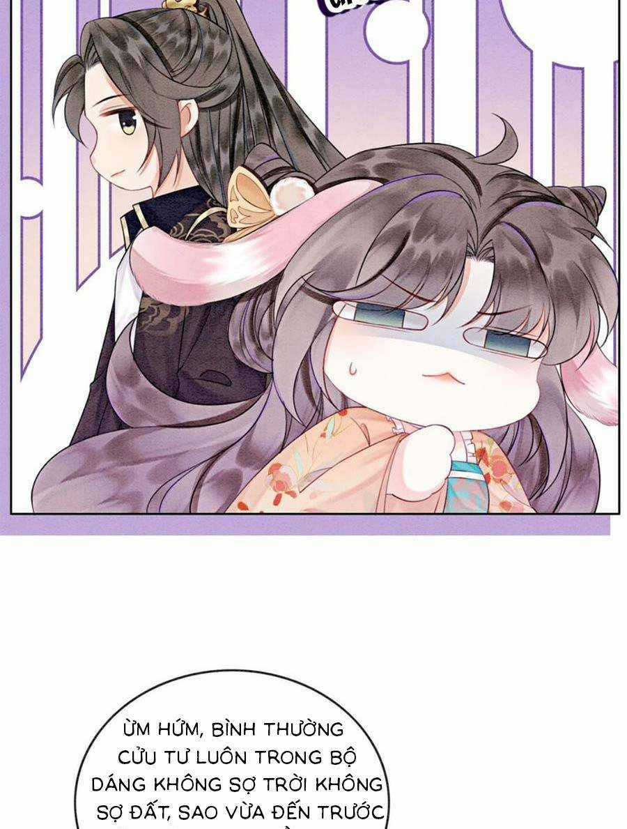 Bắt Đầu Hủy Hôn Để Công Lược Vương Gia Chapter 71 trang 22