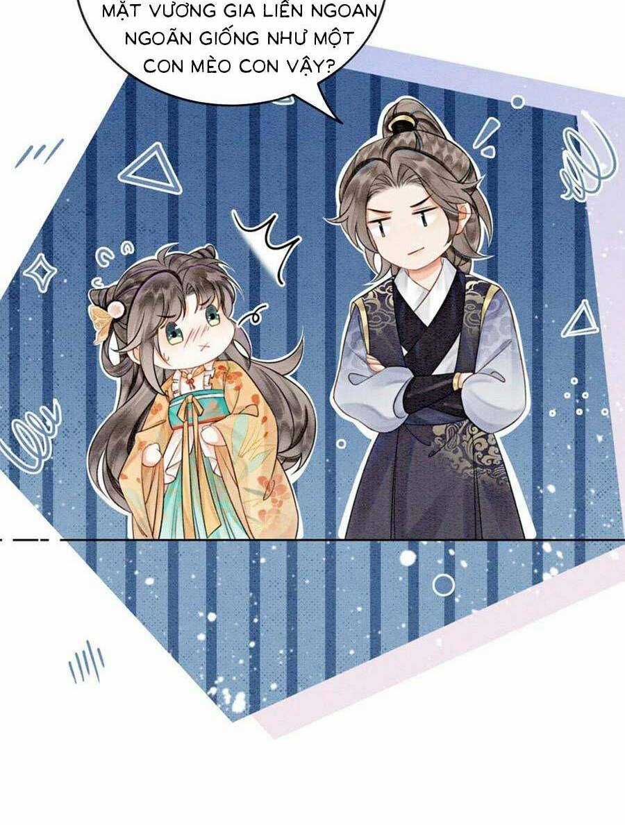 Bắt Đầu Hủy Hôn Để Công Lược Vương Gia Chapter 71 trang 23