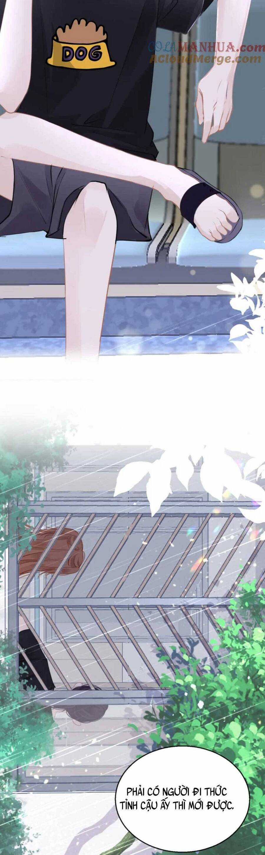 Bắt Đầu Hủy Hôn Để Công Lược Vương Gia Chapter 91 trang 13