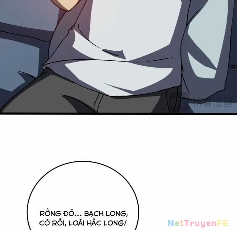 Bắt Đầu Kế Nhiệm Boss Hắc Long, Ta Vô Địch Chapter 16 trang 43