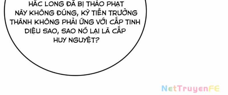 Bắt Đầu Kế Nhiệm Boss Hắc Long, Ta Vô Địch Chapter 16 trang 53