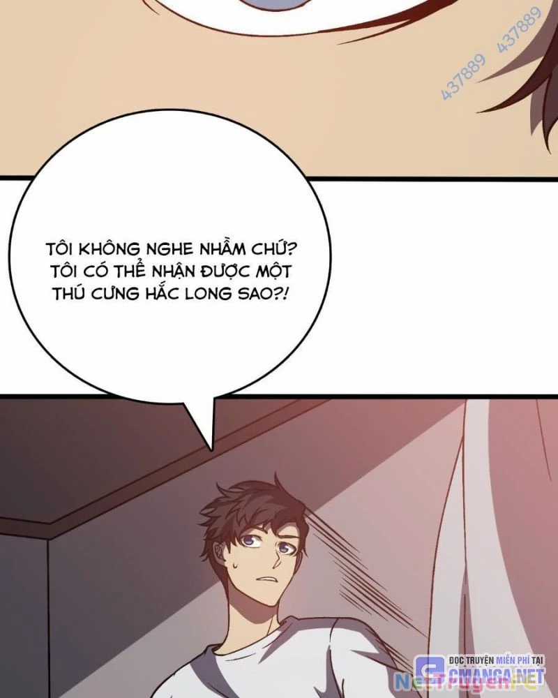 Bắt Đầu Kế Nhiệm Boss Hắc Long, Ta Vô Địch Chapter 16 trang 63