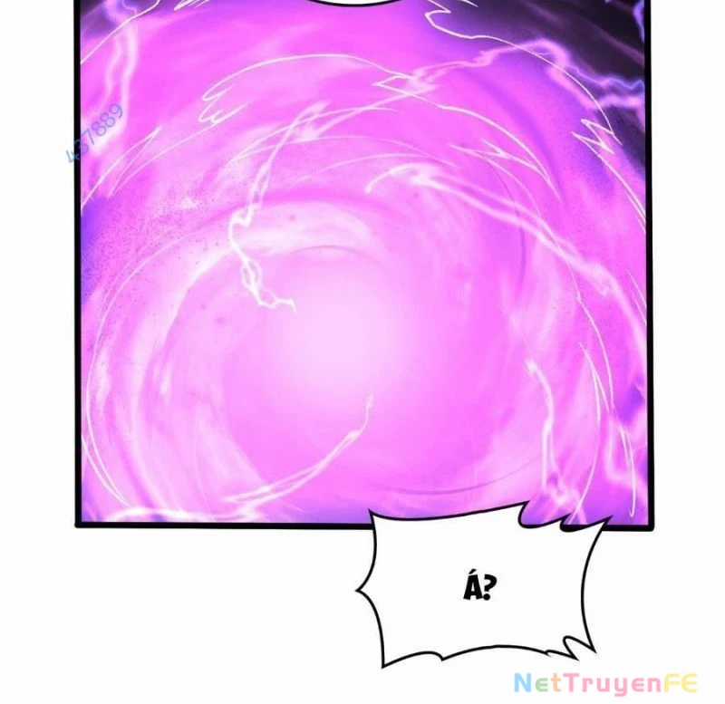 Bắt Đầu Kế Nhiệm Boss Hắc Long, Ta Vô Địch Chapter 23 trang 14