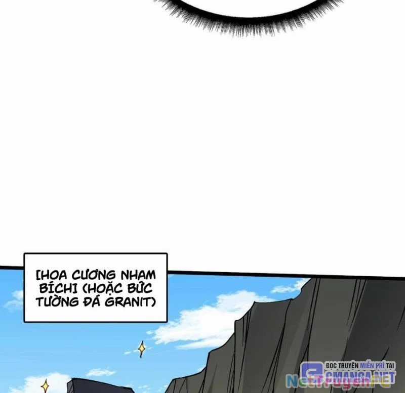 Bắt Đầu Kế Nhiệm Boss Hắc Long, Ta Vô Địch Chapter 23 trang 51