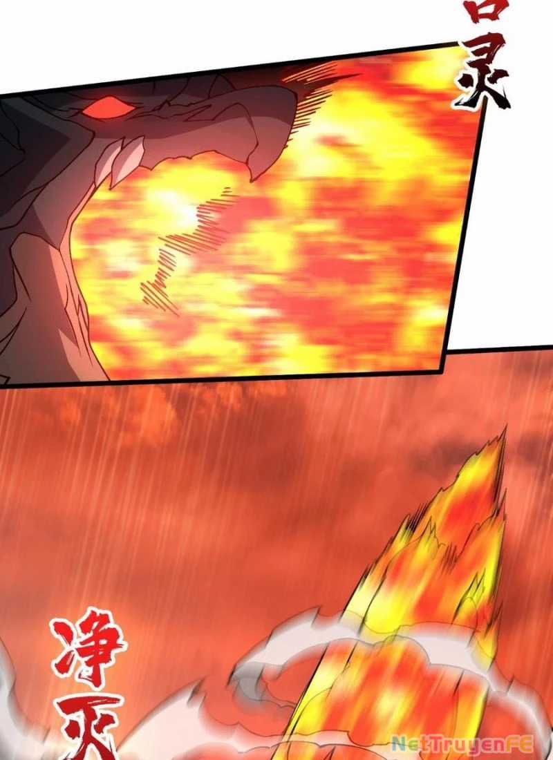 Bắt Đầu Kế Nhiệm Boss Hắc Long, Ta Vô Địch Chapter 31 trang 14