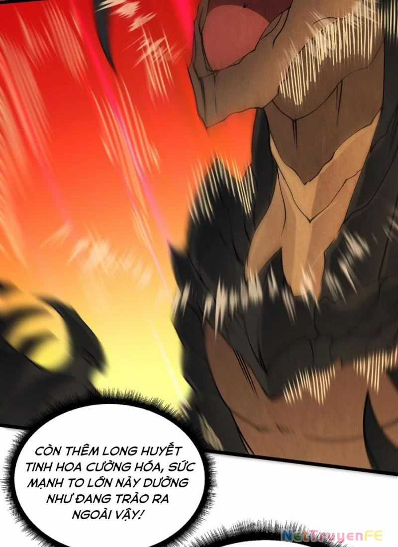 Bắt Đầu Kế Nhiệm Boss Hắc Long, Ta Vô Địch Chapter 32 trang 5