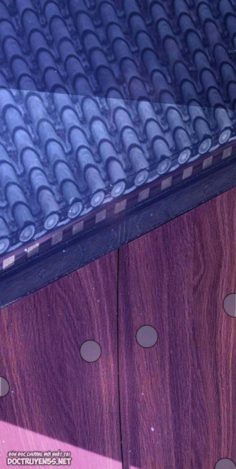 Bắt Đầu Livestream Ở Địa Phủ: Phát Sóng Trực Tiếp Ở Đây Ai Dám Đến Chương 16 trang 11