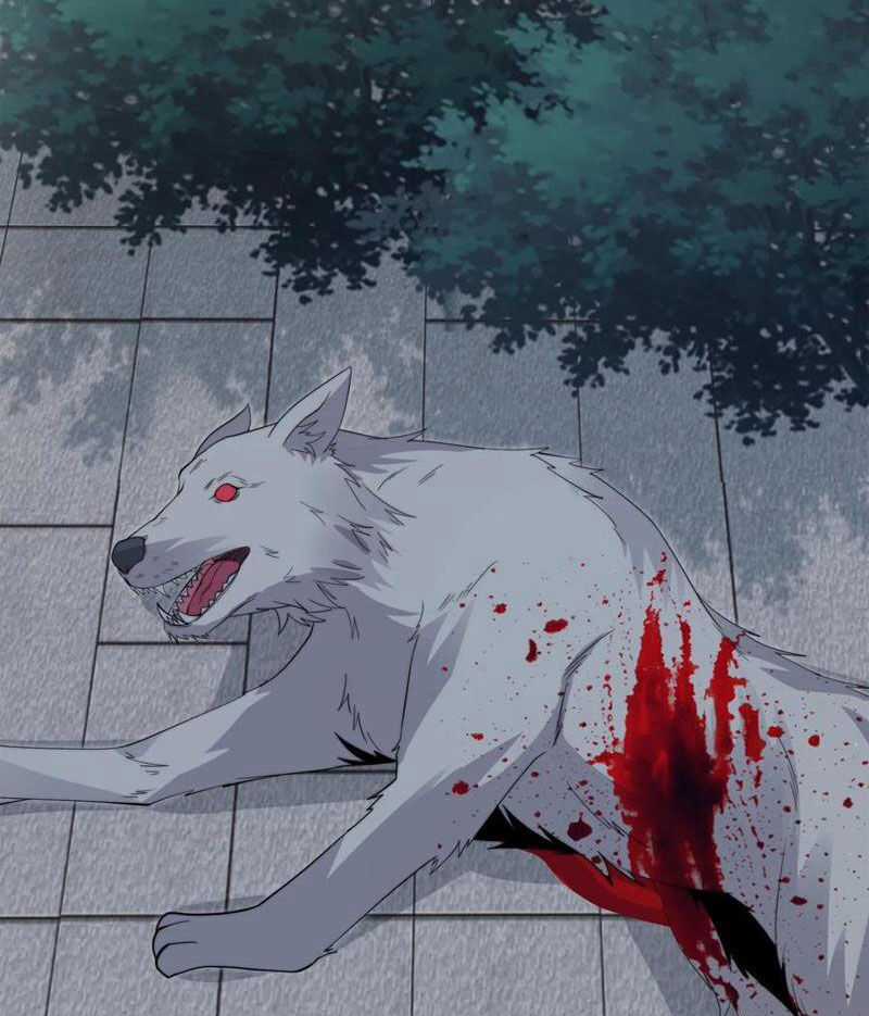 Bắt Đầu Livestream Ở Địa Phủ: Phát Sóng Trực Tiếp Ở Đây Ai Dám Đến Chương 263 trang 29