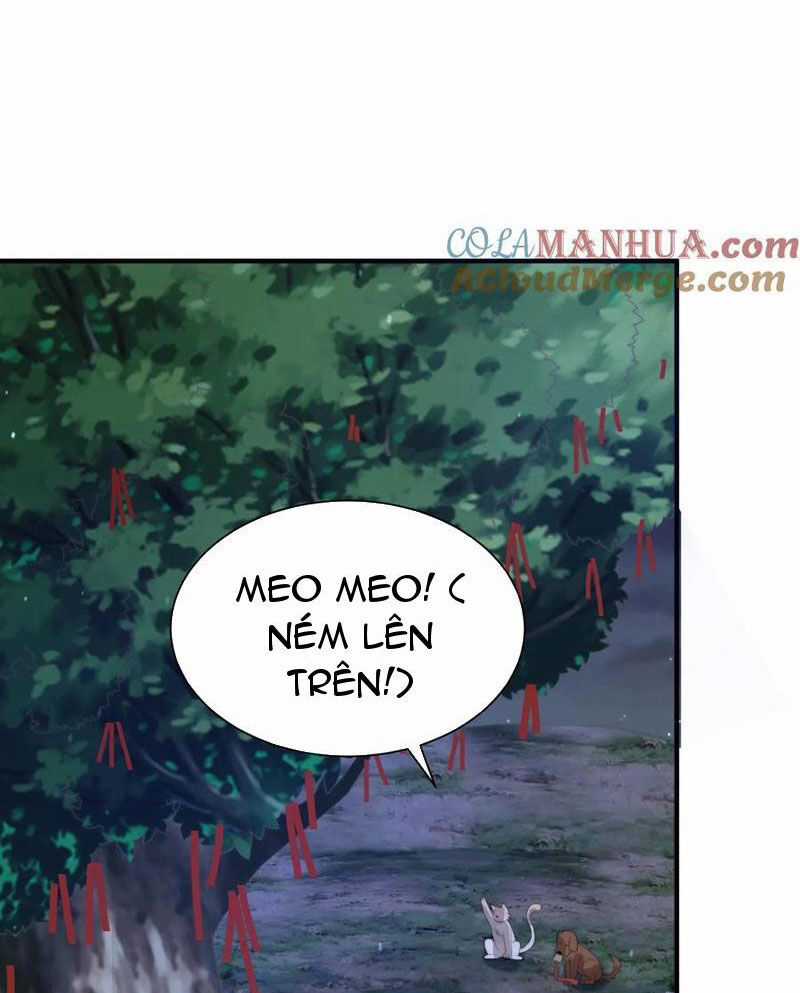 Bắt Đầu Livestream Ở Địa Phủ: Phát Sóng Trực Tiếp Ở Đây Ai Dám Đến Chương 270 trang 11