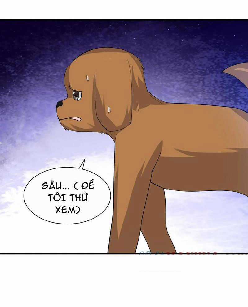 Bắt Đầu Livestream Ở Địa Phủ: Phát Sóng Trực Tiếp Ở Đây Ai Dám Đến Chương 270 trang 19