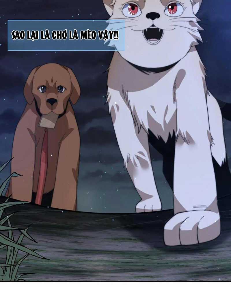 Bắt Đầu Livestream Ở Địa Phủ: Phát Sóng Trực Tiếp Ở Đây Ai Dám Đến Chương 270 trang 4