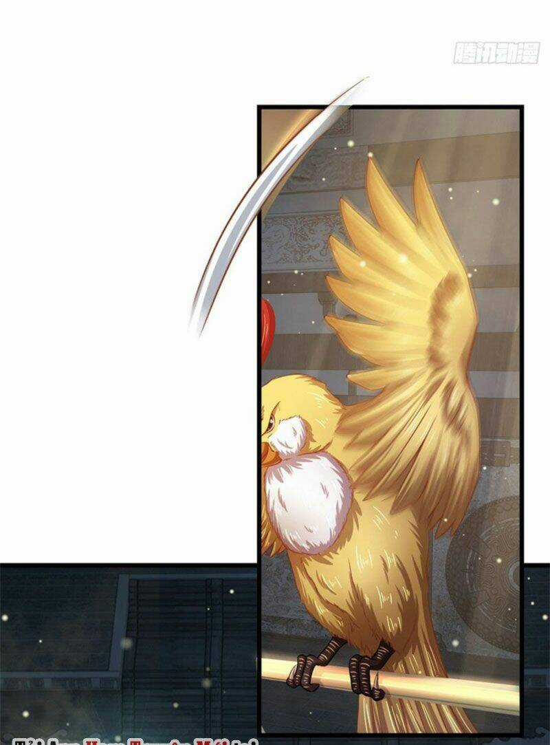 Bắt Đầu Với Chí Tôn Đan Điền Chapter 32 trang 0