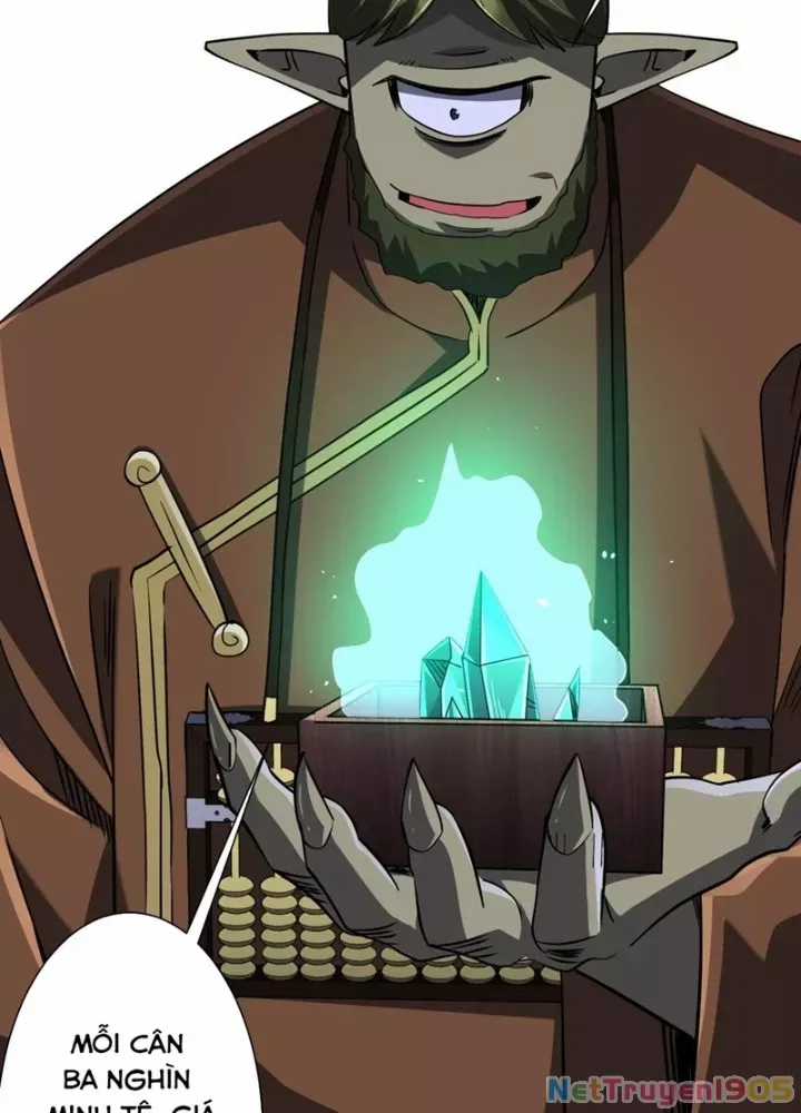 Bắt Đầu Với Trăm Vạn Minh Tệ Chương 271 trang 12