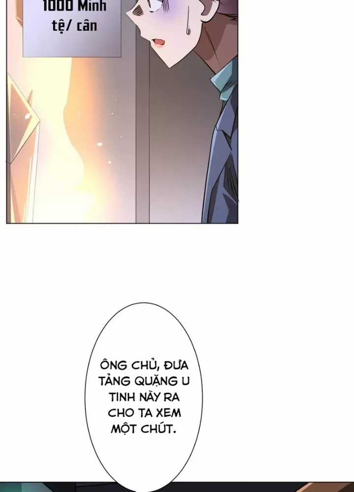 Bắt Đầu Với Trăm Vạn Minh Tệ Chương 271 trang 8