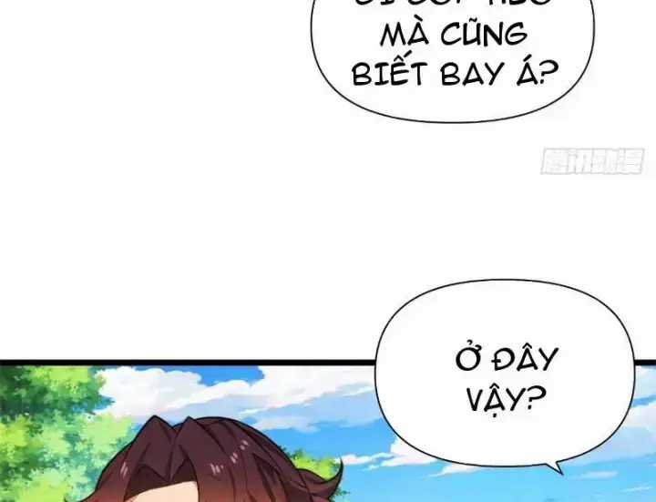 Bật Hack Mà Vẫn Là Tông Môn Yếu Nhất Sao? Chapter 3 trang 23