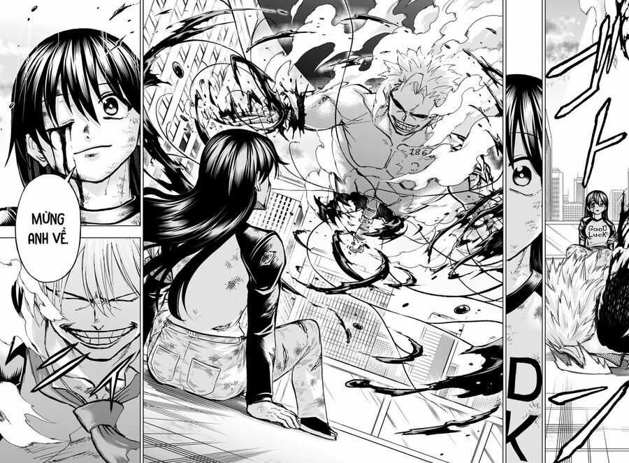 Bất Hạnh Và Bất Tử Chương 219 trang 17