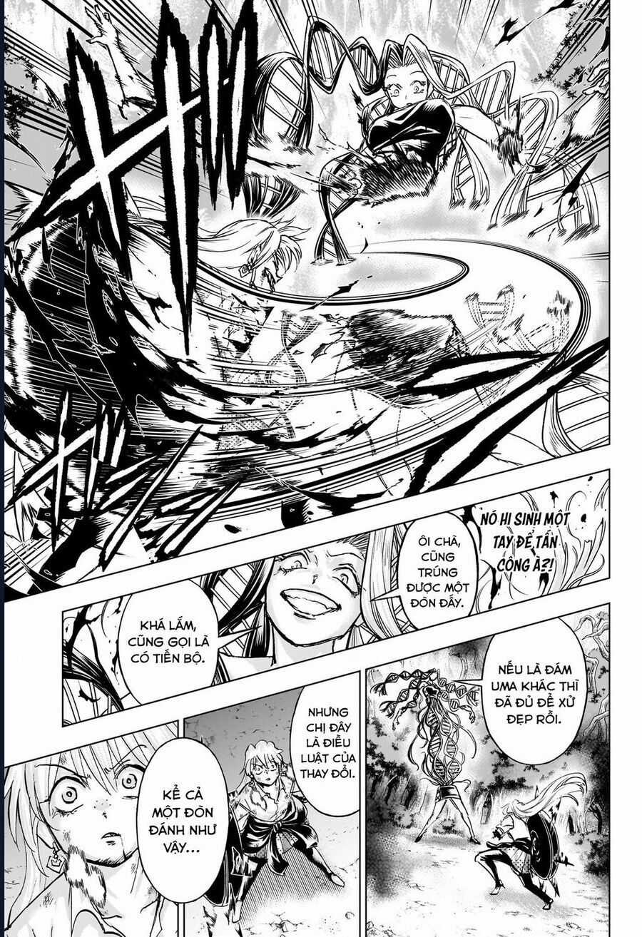 Bất Hạnh Và Bất Tử Chương 227 trang 13