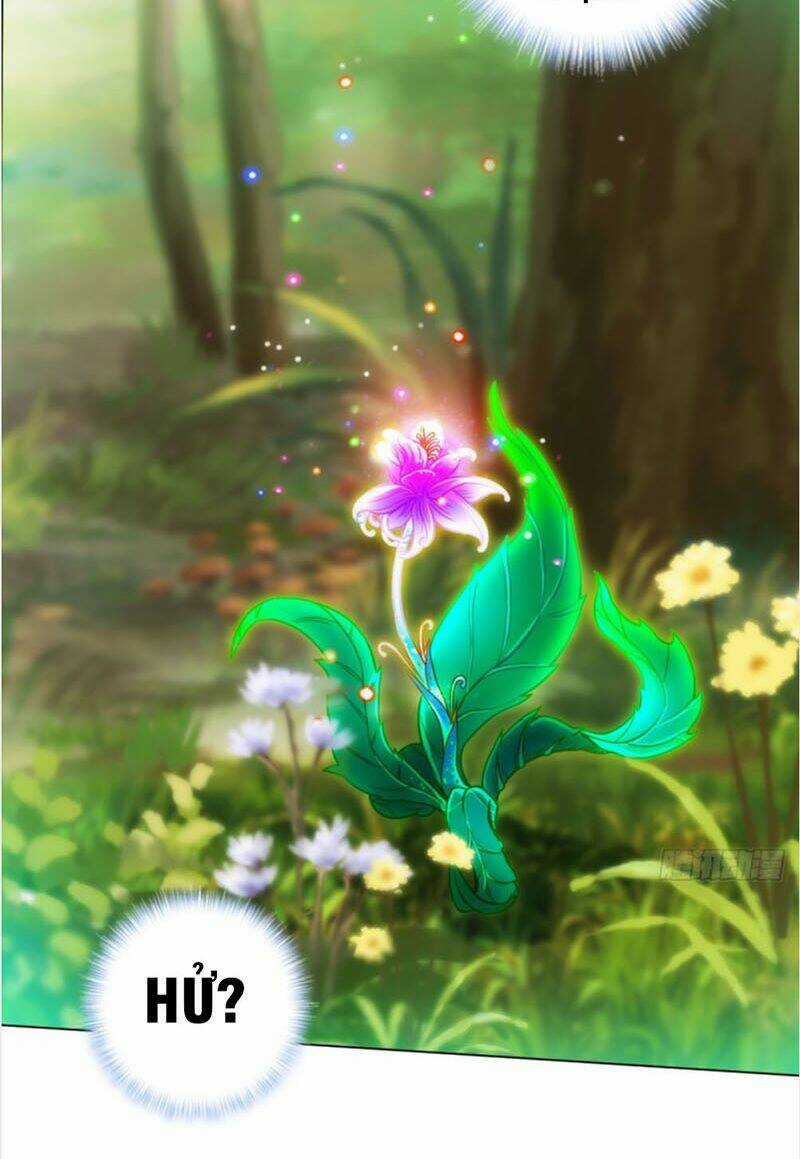 Bất Hủ Phàm Nhân Chapter 29 trang 25