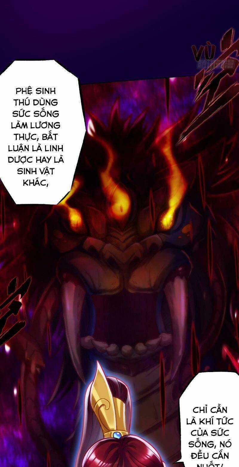 Bất Hủ Phàm Nhân Chapter 31 trang 10