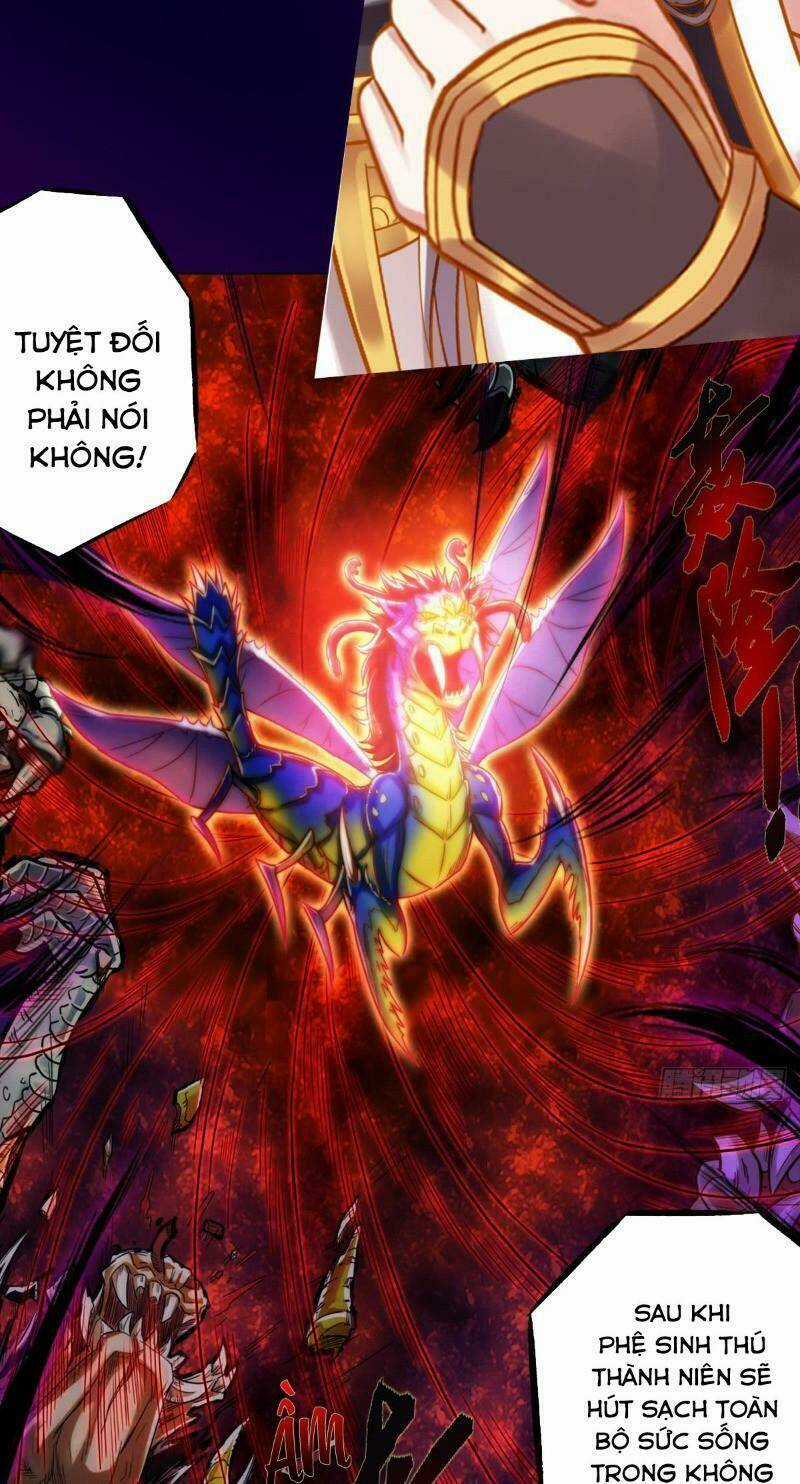 Bất Hủ Phàm Nhân Chapter 31 trang 12