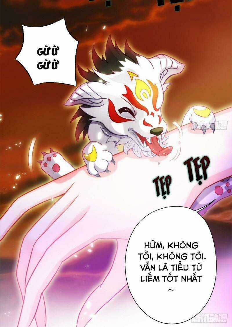 Bất Hủ Phàm Nhân Chapter 35 trang 19