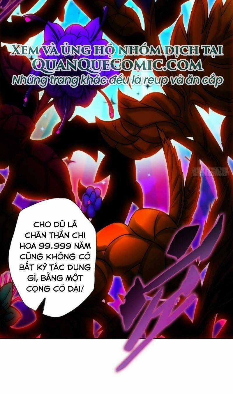 Bất Hủ Phàm Nhân Chapter 53 trang 5