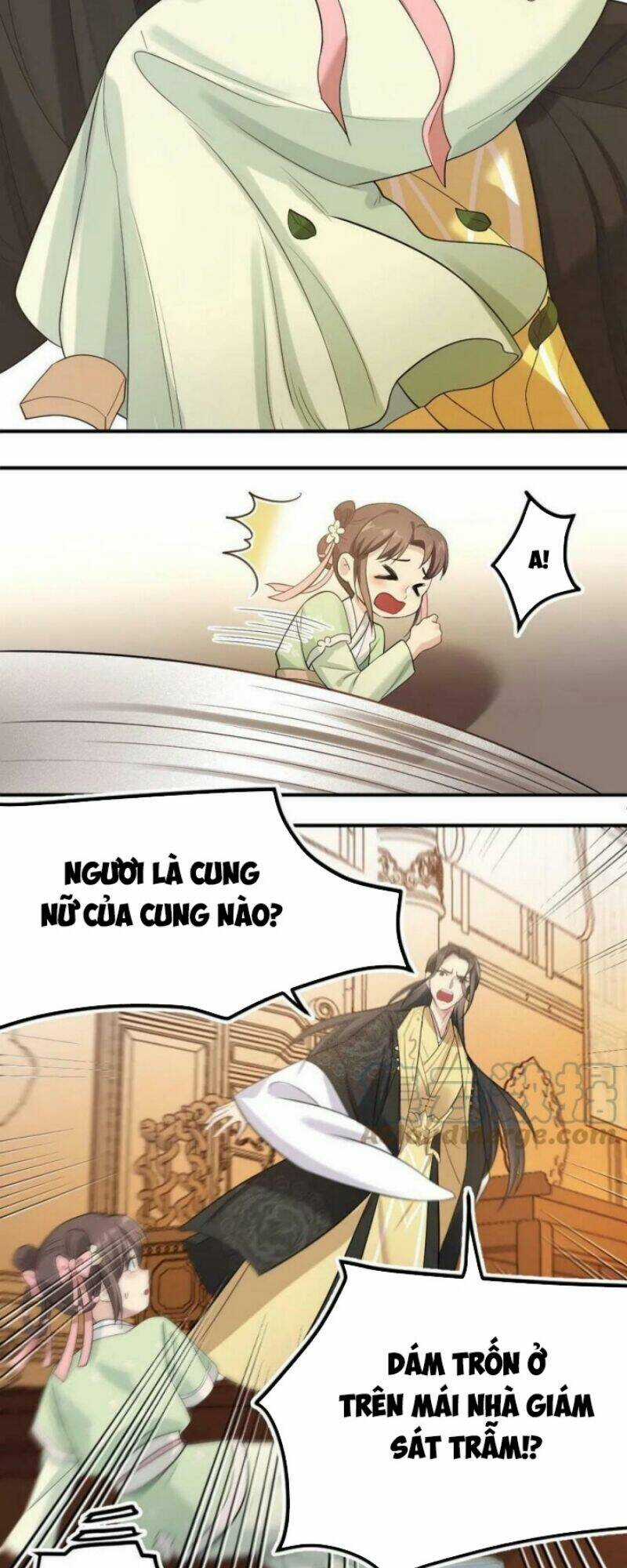 Bắt Ta Làm Cung Nữ? Ta Liền Cho Bạo Quân Quỳ Ván Giặt Đồ!!!! Chapter 1 trang 12