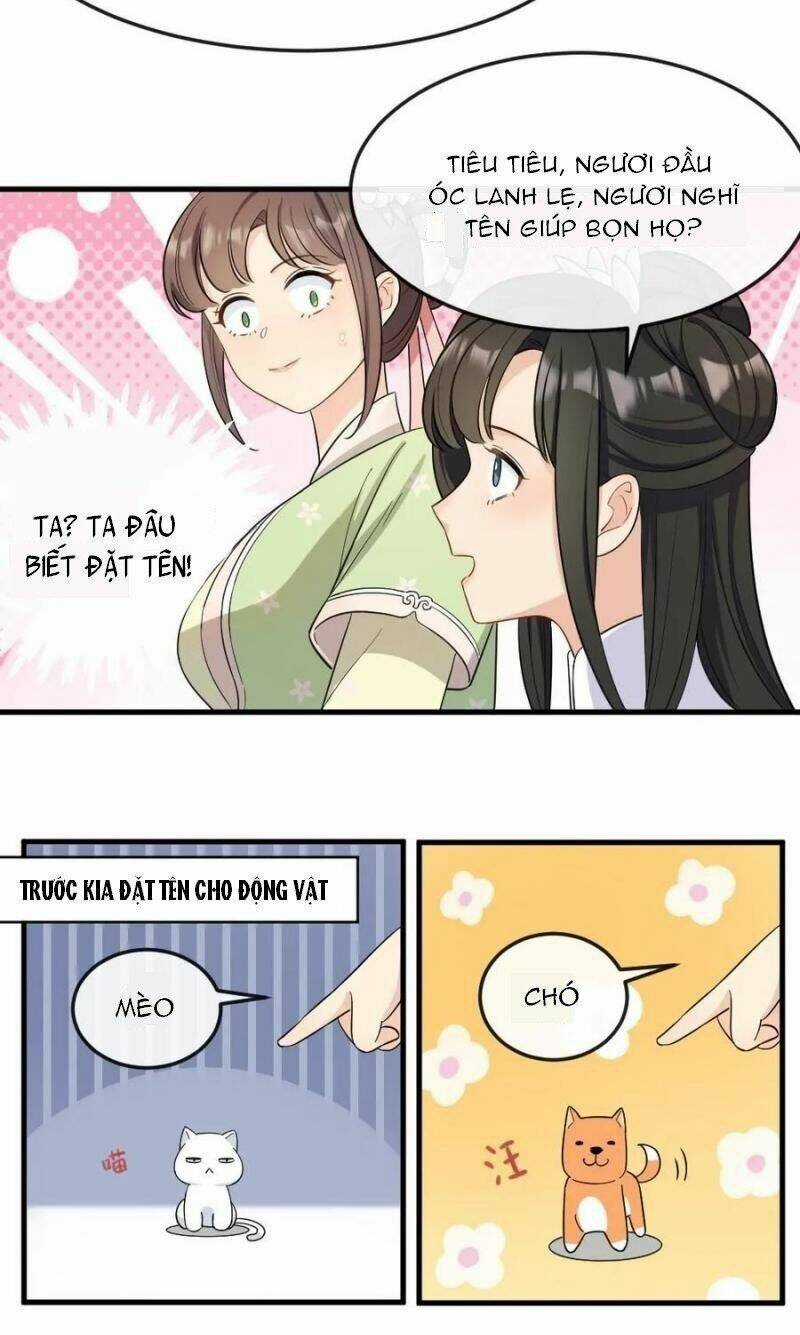 Bắt Ta Làm Cung Nữ? Ta Liền Cho Bạo Quân Quỳ Ván Giặt Đồ!!!! Chapter 19 trang 9