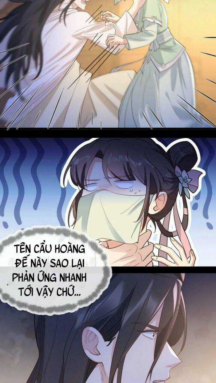 Bắt Ta Làm Cung Nữ? Ta Liền Cho Bạo Quân Quỳ Ván Giặt Đồ!!!! Chapter 2 trang 13