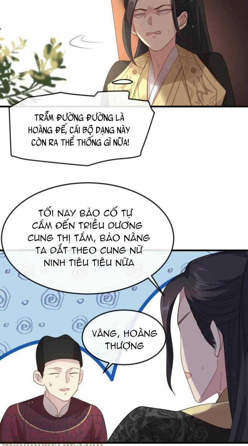 Bắt Ta Làm Cung Nữ? Ta Liền Cho Bạo Quân Quỳ Ván Giặt Đồ!!!! Chapter 20 trang 12