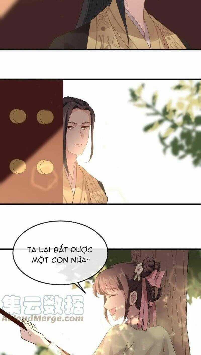 Bắt Ta Làm Cung Nữ? Ta Liền Cho Bạo Quân Quỳ Ván Giặt Đồ!!!! Chapter 20 trang 4