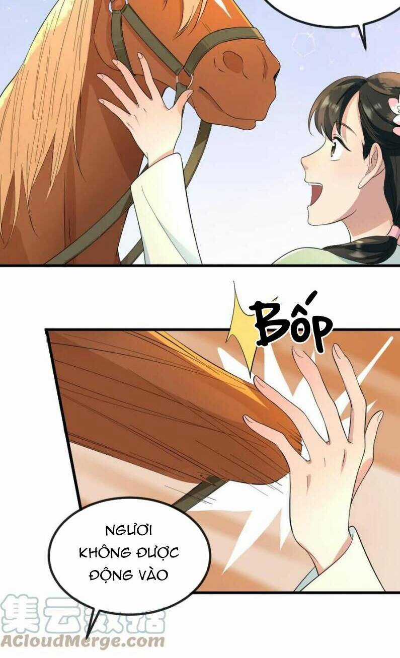 Bắt Ta Làm Cung Nữ? Ta Liền Cho Bạo Quân Quỳ Ván Giặt Đồ!!!! Chapter 26 trang 4