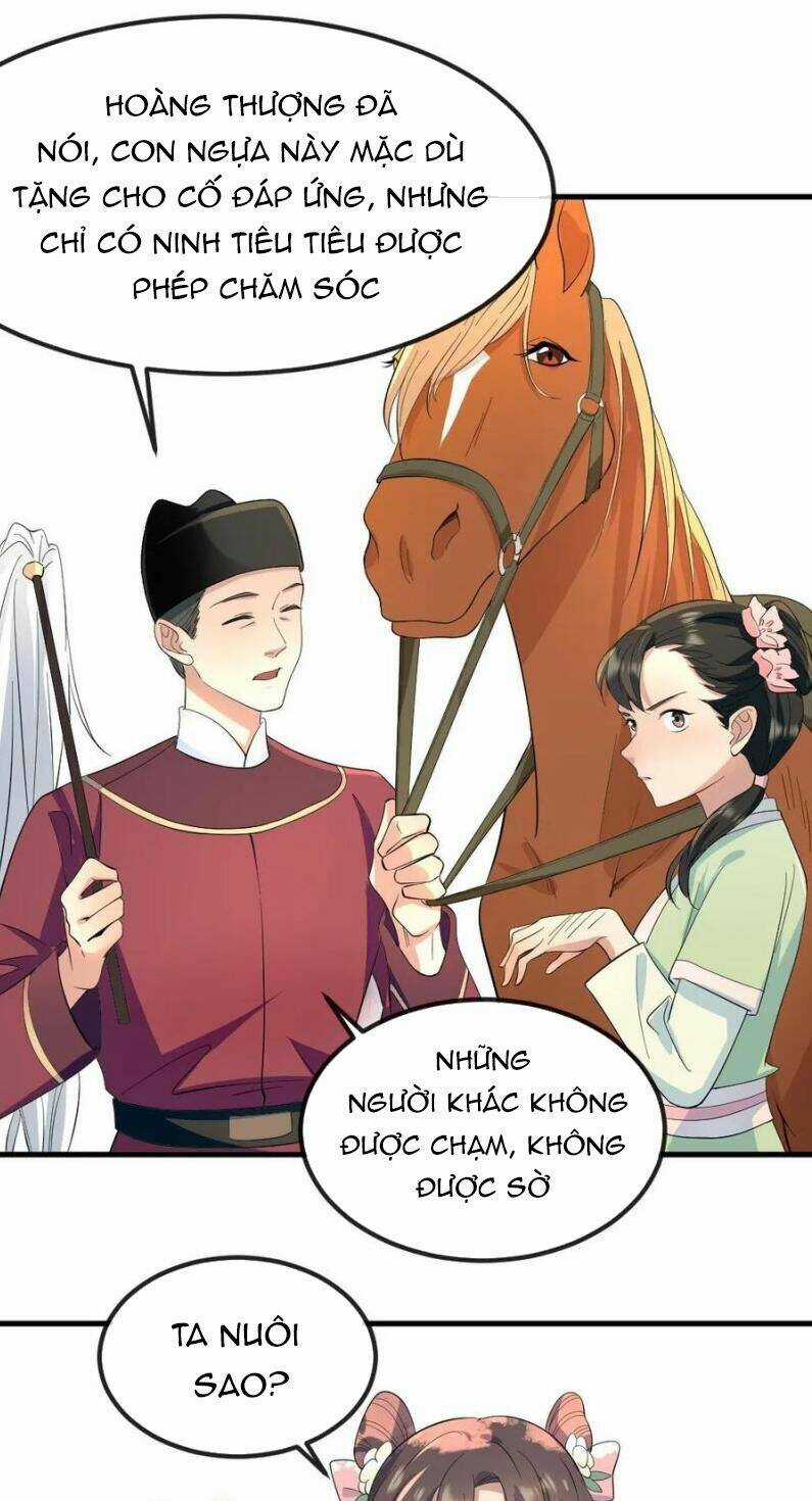 Bắt Ta Làm Cung Nữ? Ta Liền Cho Bạo Quân Quỳ Ván Giặt Đồ!!!! Chapter 26 trang 5