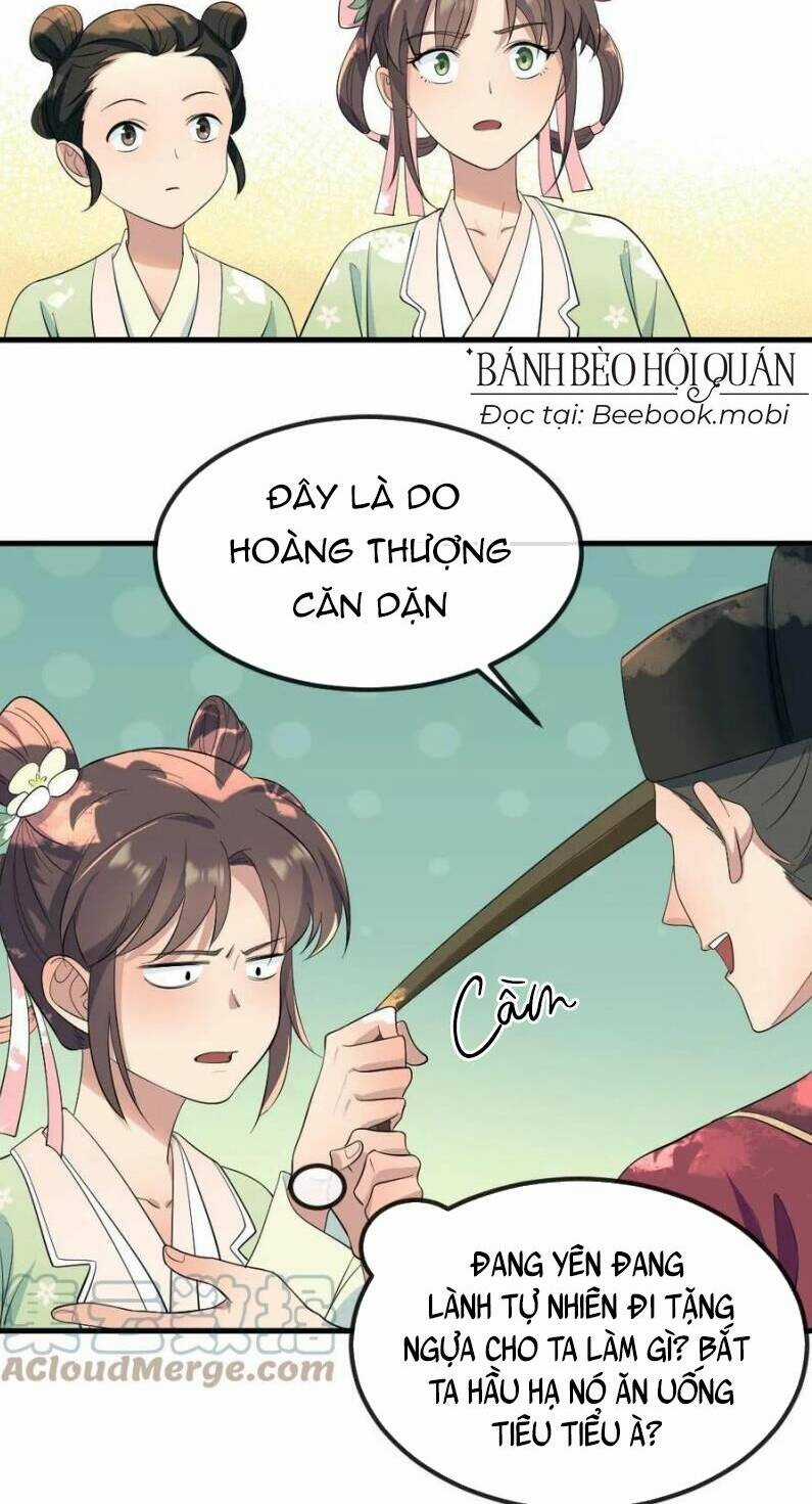 Bắt Ta Làm Cung Nữ? Ta Liền Cho Bạo Quân Quỳ Ván Giặt Đồ!!!! Chapter 26 trang 6