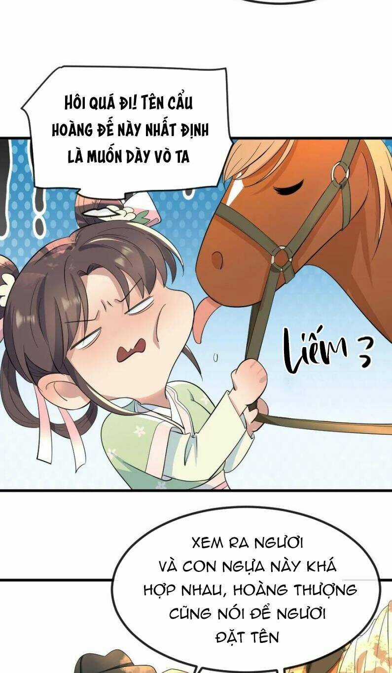 Bắt Ta Làm Cung Nữ? Ta Liền Cho Bạo Quân Quỳ Ván Giặt Đồ!!!! Chapter 26 trang 7