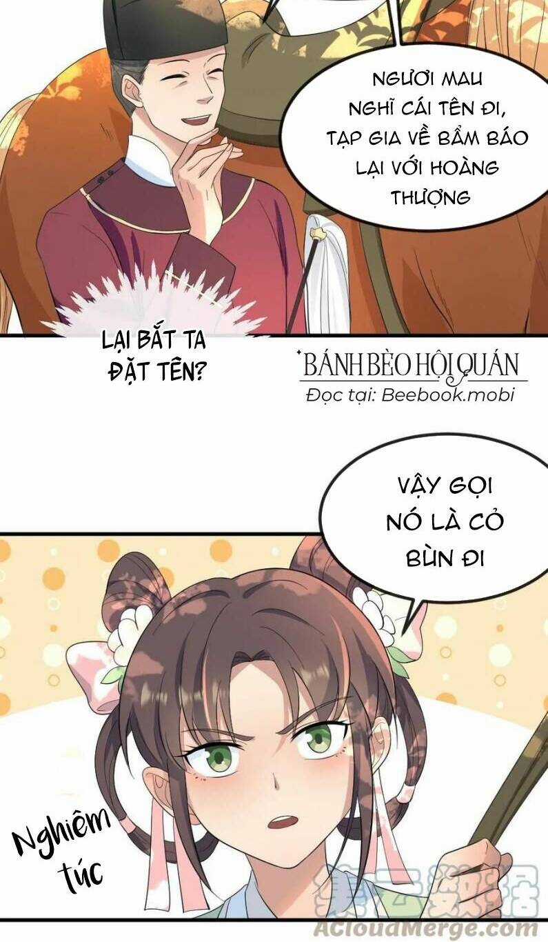 Bắt Ta Làm Cung Nữ? Ta Liền Cho Bạo Quân Quỳ Ván Giặt Đồ!!!! Chapter 26 trang 8