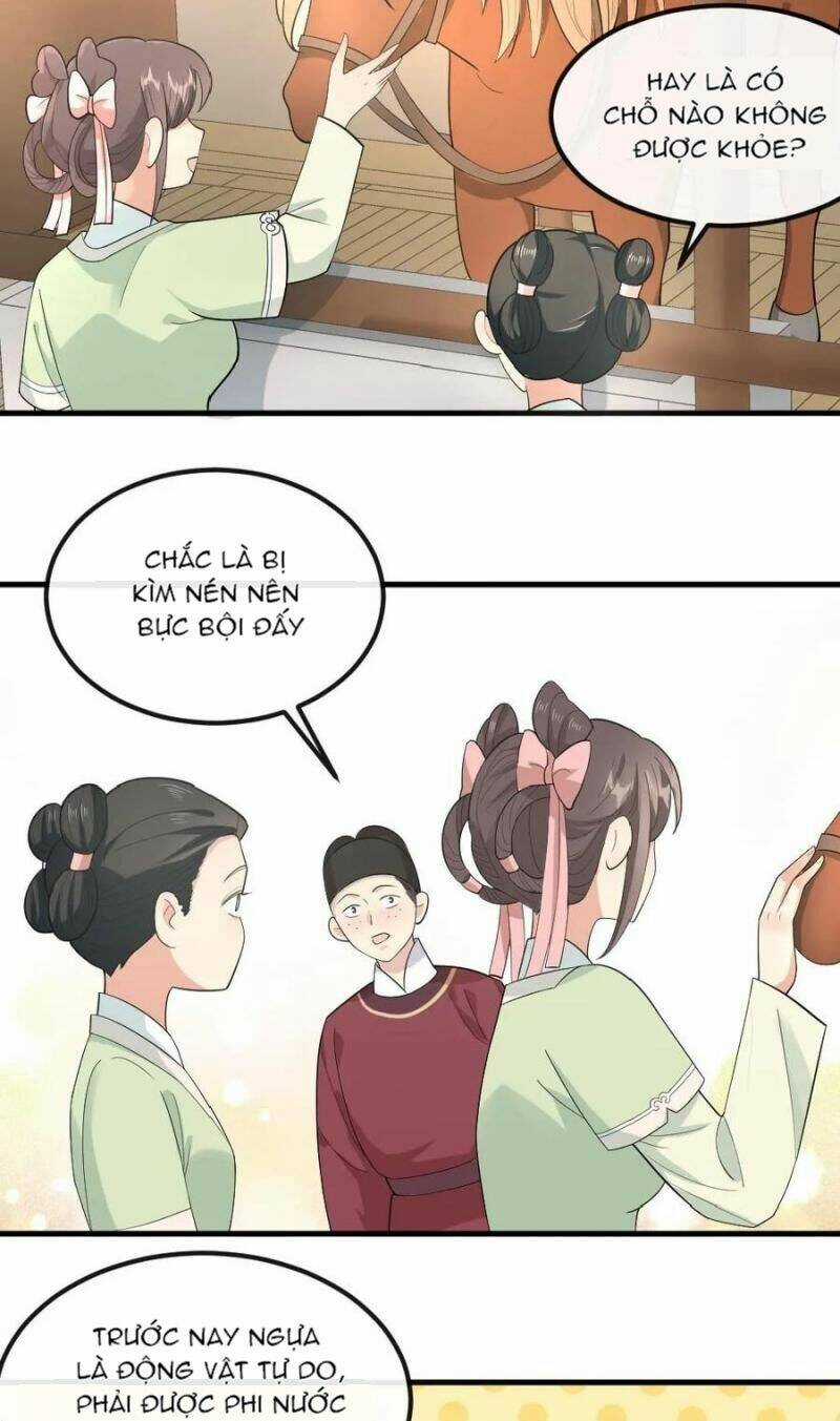 Bắt Ta Làm Cung Nữ? Ta Liền Cho Bạo Quân Quỳ Ván Giặt Đồ!!!! Chapter 29 trang 5