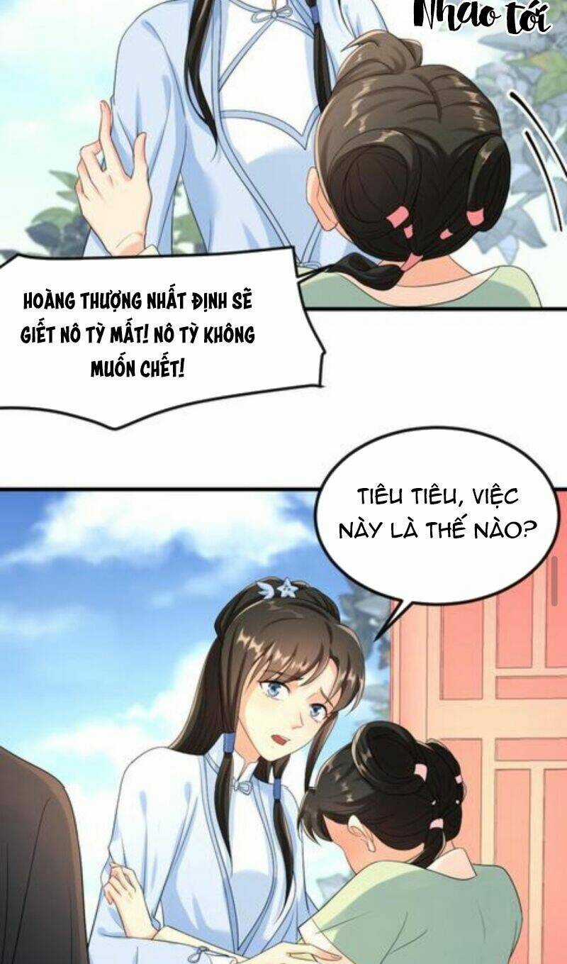 Bắt Ta Làm Cung Nữ? Ta Liền Cho Bạo Quân Quỳ Ván Giặt Đồ!!!! Chapter 33 trang 13