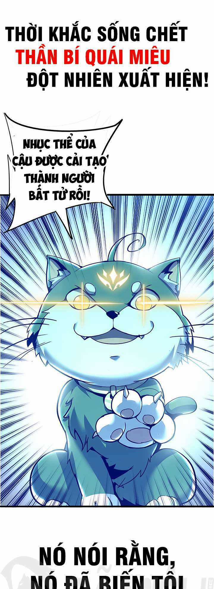 Bất Tử Thần Vương Tu Liên Tục Chapter 0 trang 8