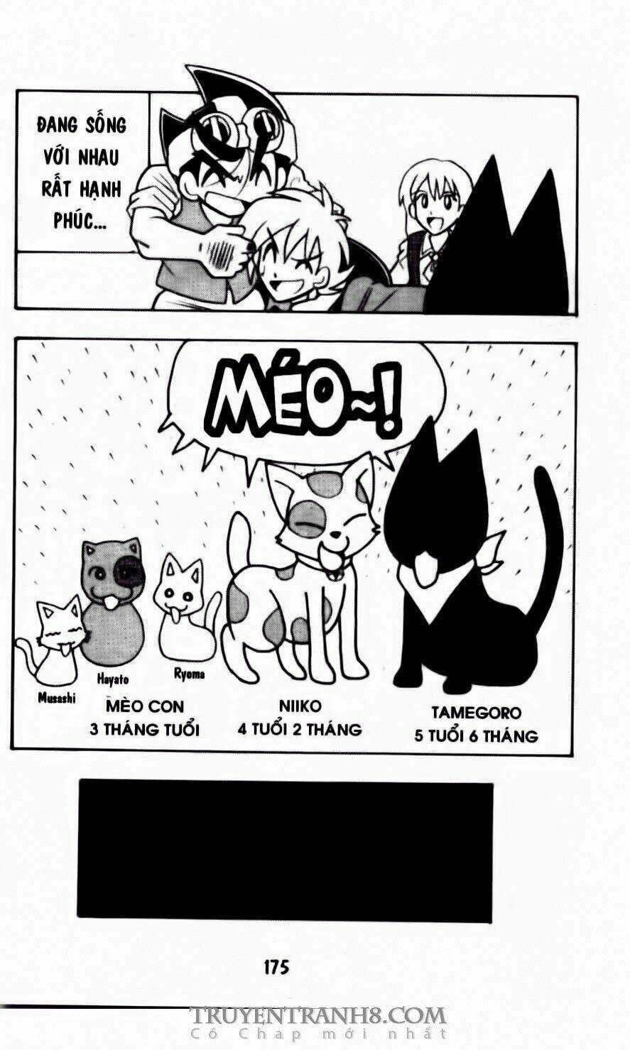 Battle B-Daman Chapter 48 trang 11