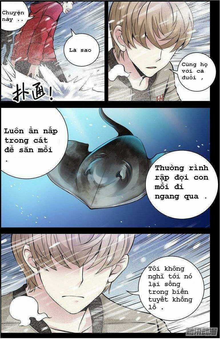Bầu Trời Máu Chapter 149 trang 8