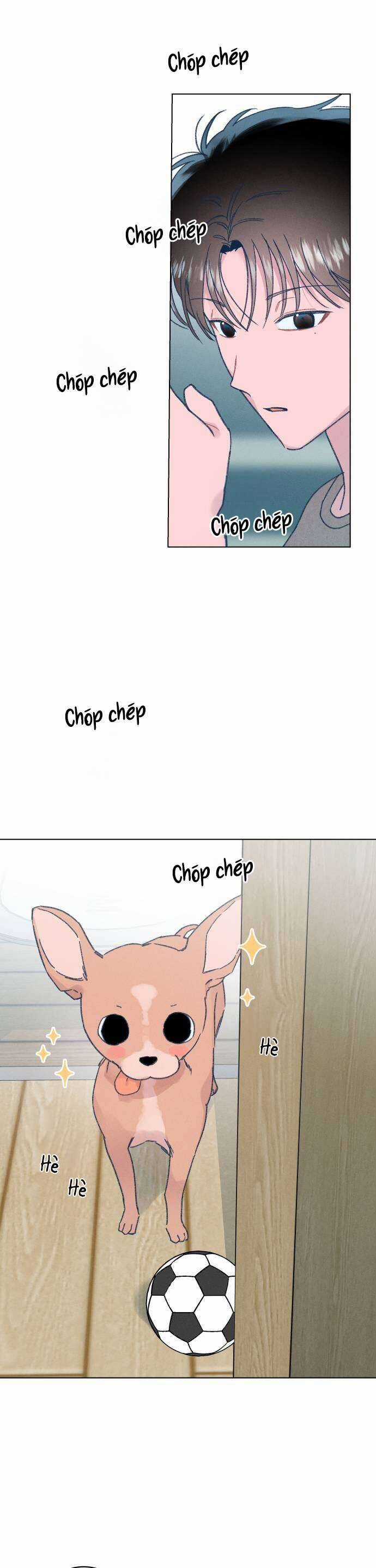 Bầu Trời Mùa Hạ Dấu Yêu Món quà ý nghĩa nhất cho người thân yêu Chapter 10 trang 24