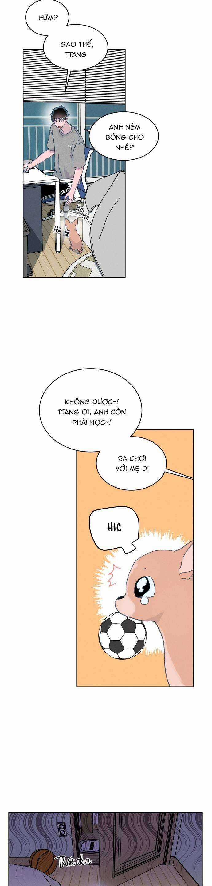 Bầu Trời Mùa Hạ Dấu Yêu Món quà ý nghĩa nhất cho người thân yêu Chapter 10 trang 25