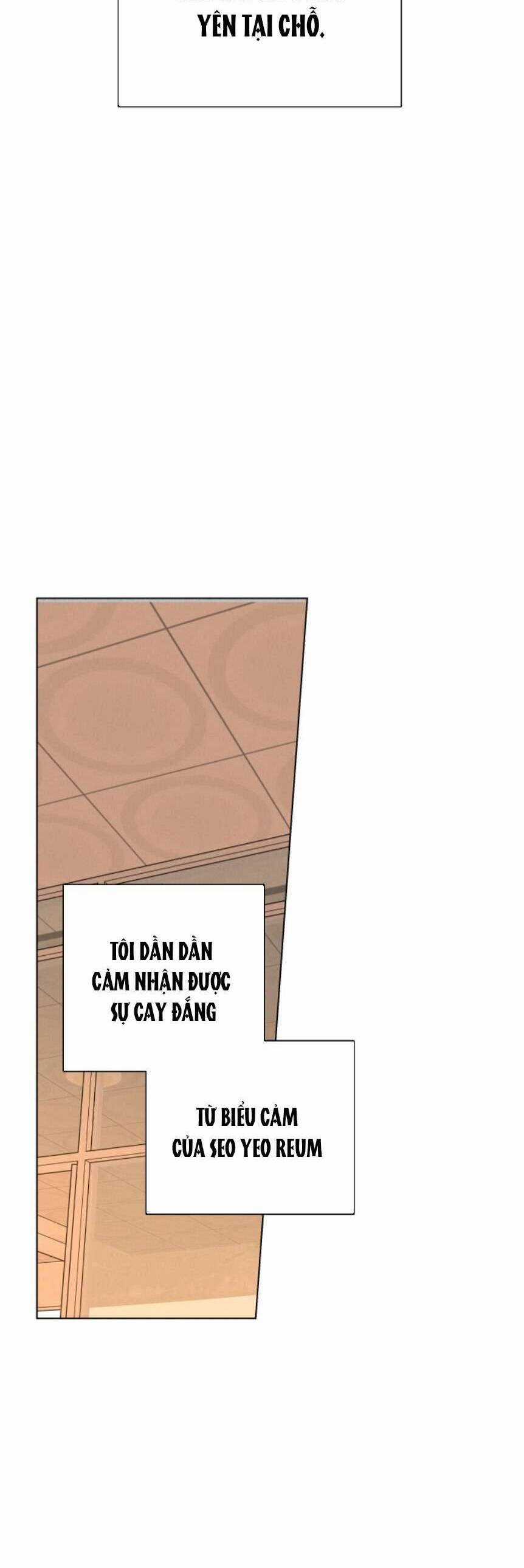 Bầu Trời Mùa Hạ Dấu Yêu Món quà ý nghĩa nhất cho người thân yêu Chapter 12 trang 51