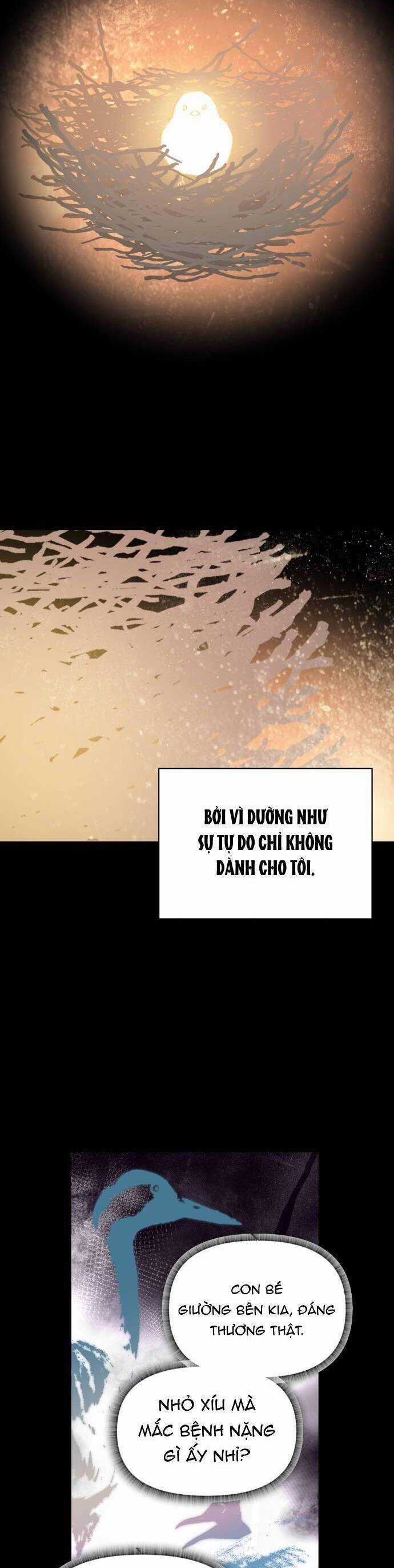 Bầu Trời Mùa Hạ Dấu Yêu Chapter 33 trang 2