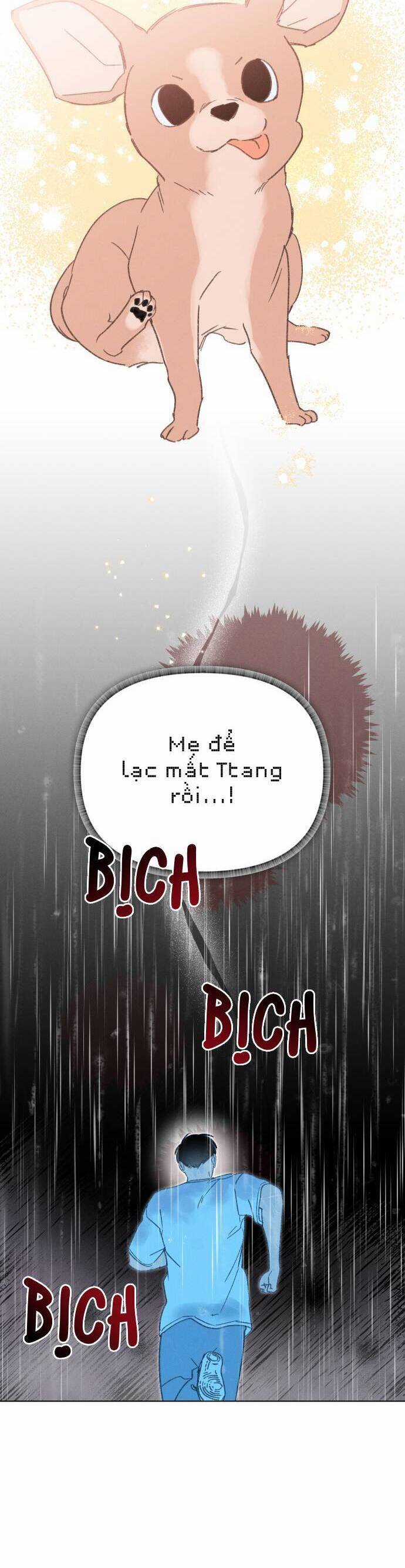 Bầu Trời Mùa Hạ Dấu Yêu Chapter 33 trang 36