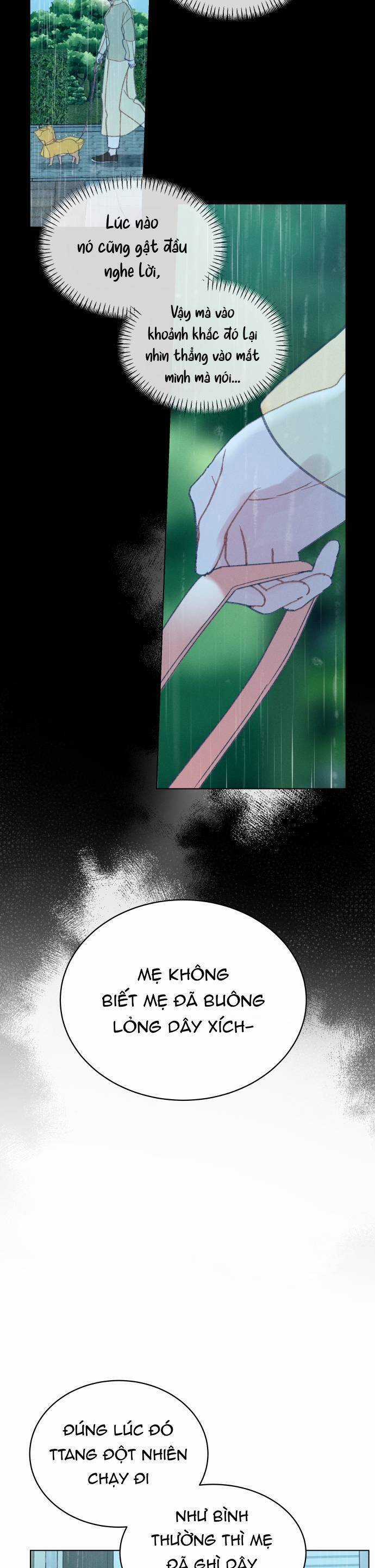 Bầu Trời Mùa Hạ Dấu Yêu Chapter 34 trang 14