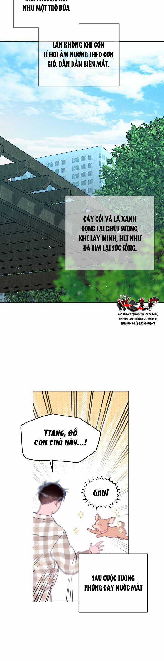 Bầu Trời Mùa Hạ Dấu Yêu Chapter 34 trang 43