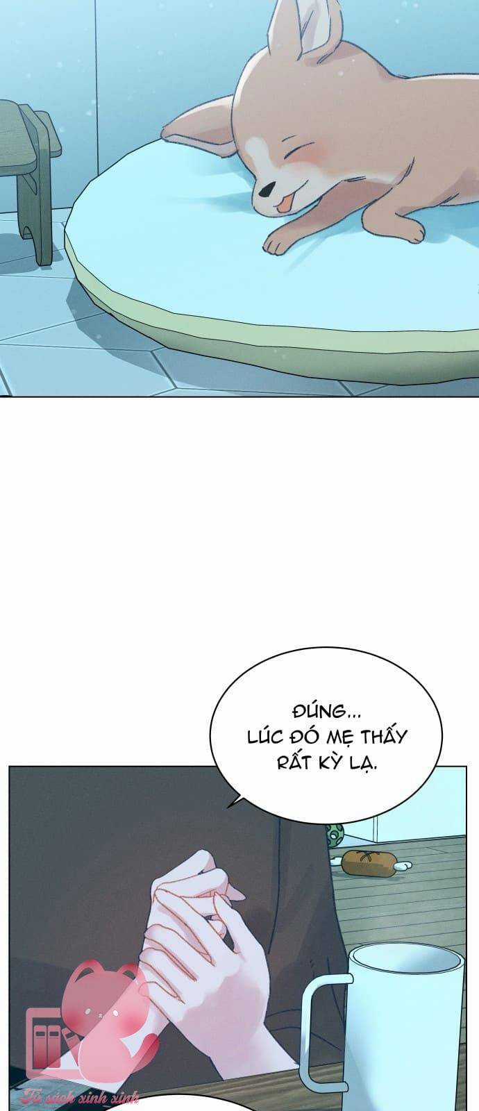 Bầu Trời Mùa Hạ Dấu Yêu Chapter 35 trang 55