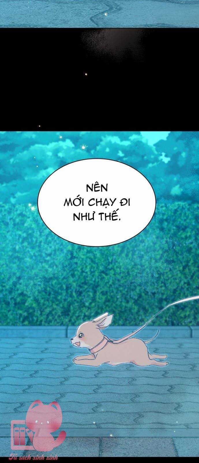 Bầu Trời Mùa Hạ Dấu Yêu Chapter 35 trang 63